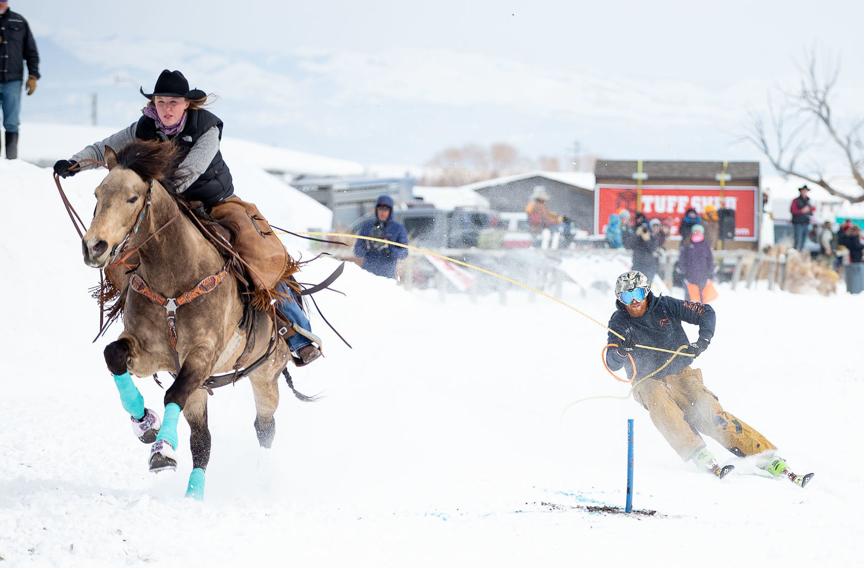 Last Chance Skijoring Race for the Gold